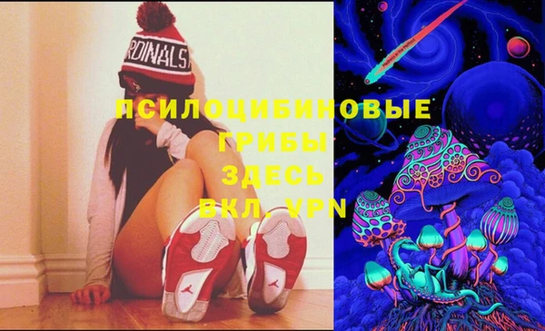 ECSTASY Алексеевка