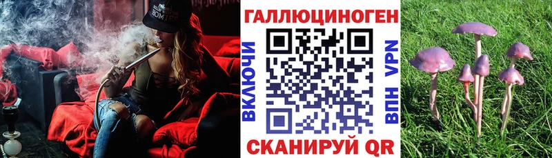 где купить наркотик  Красновишерск  Псилоцибиновые грибы Psilocybine cubensis 